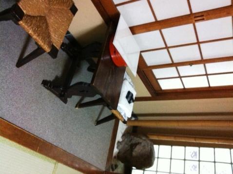 Ryokan Kyoka Kioto Exterior foto